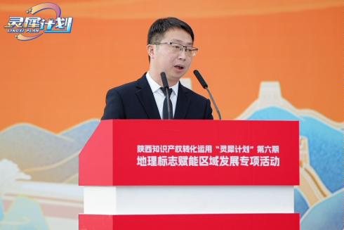 商洛核桃近景