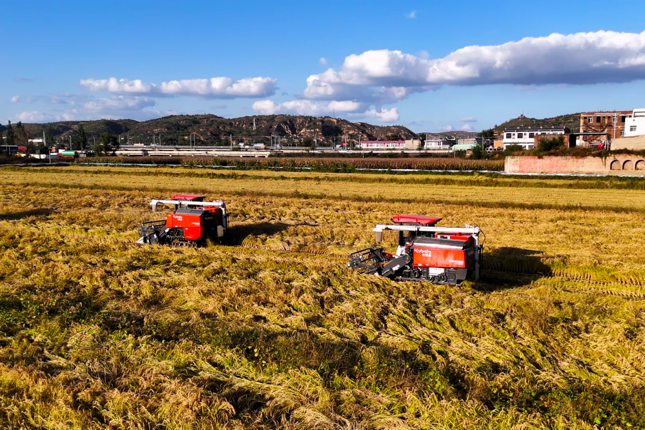 DJI_20251015163534_0[00_00_01][20251021-192543]