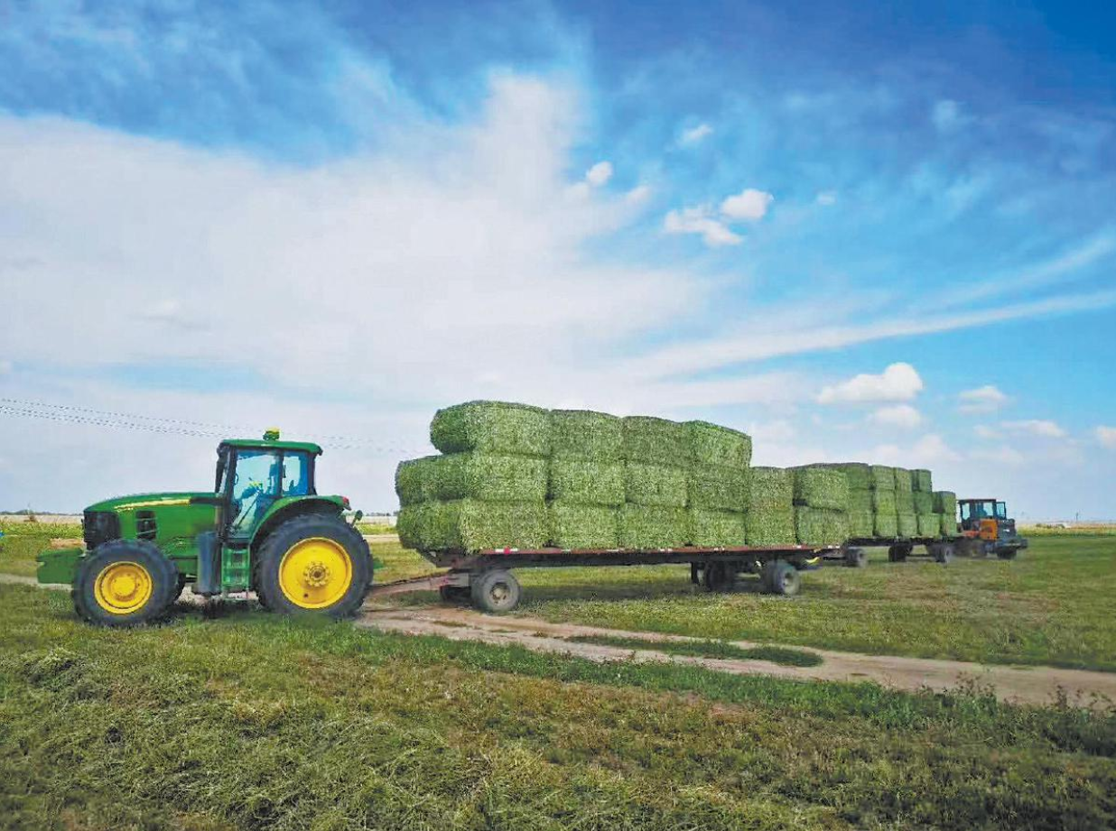 417dab0c4b1aae5777e657c0b8967bcf