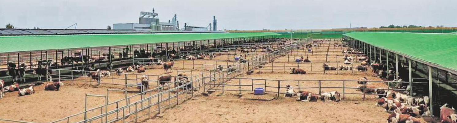 35bd2d9175f35cf052419cbea234d565