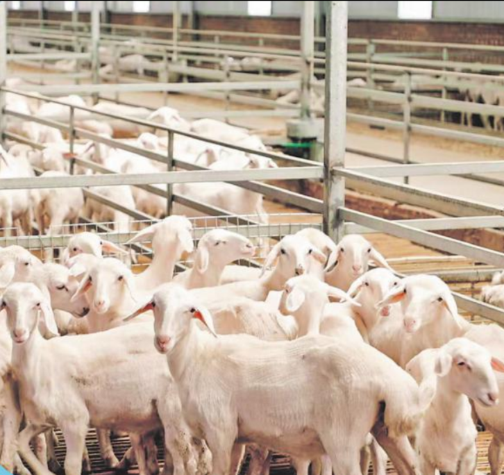 71bd62970abdfec5da0e4be95ffdcd32