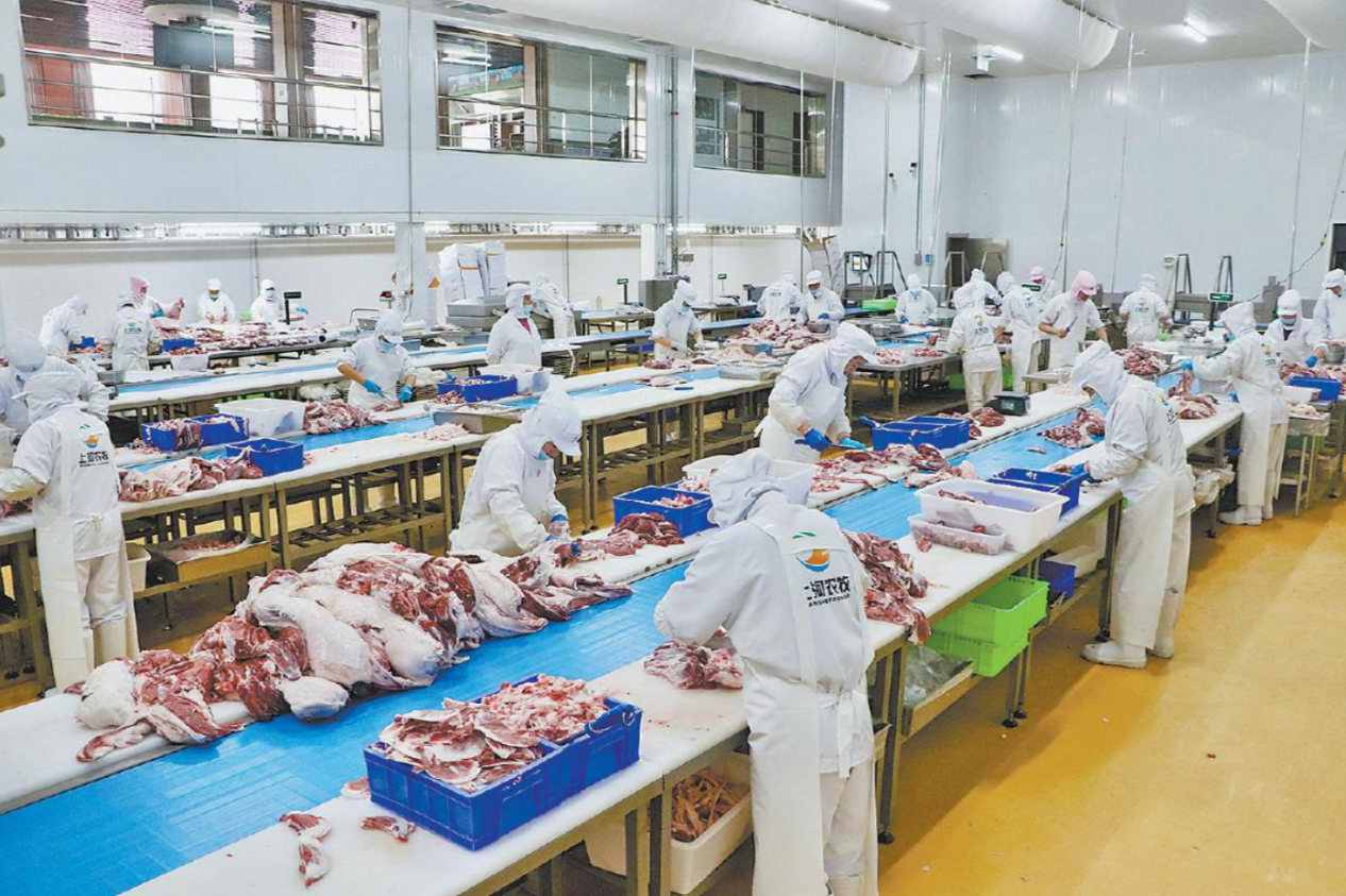 97fd87c22f937adf34ad46deb89bbeaf