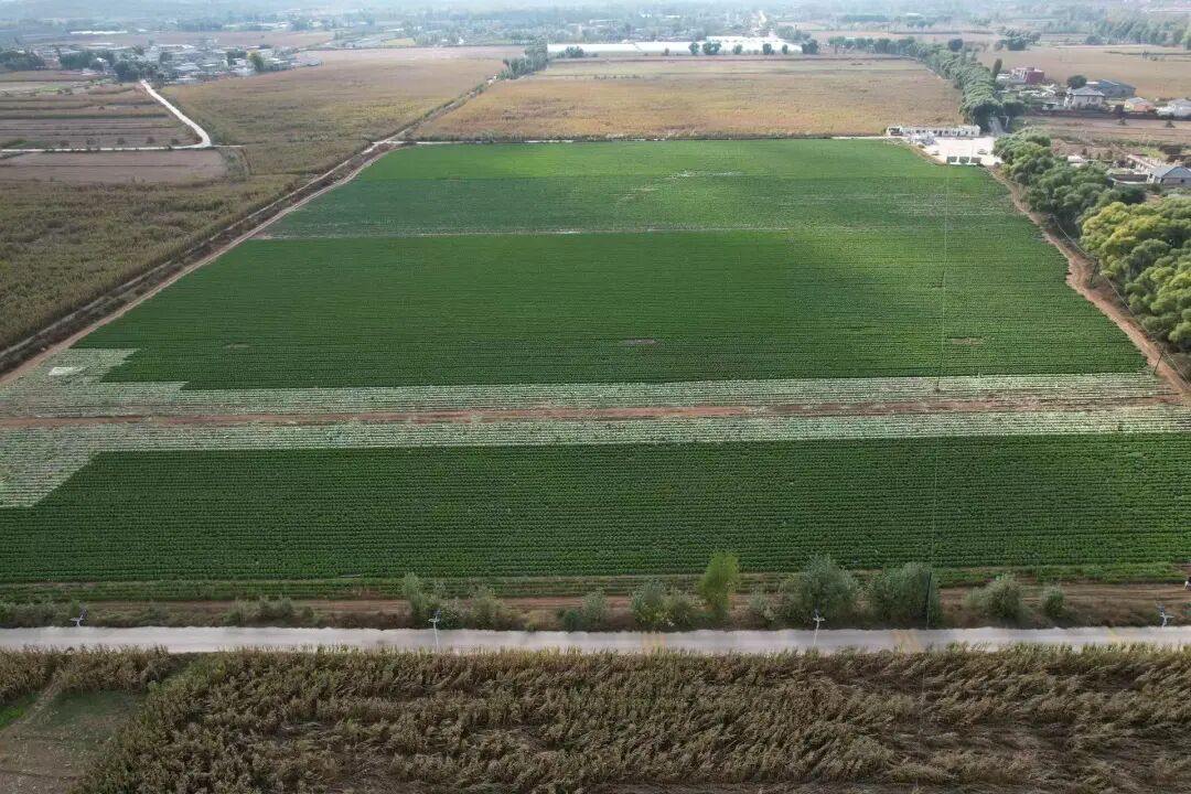 6846b5741e181629f9d0b587bc3acd46