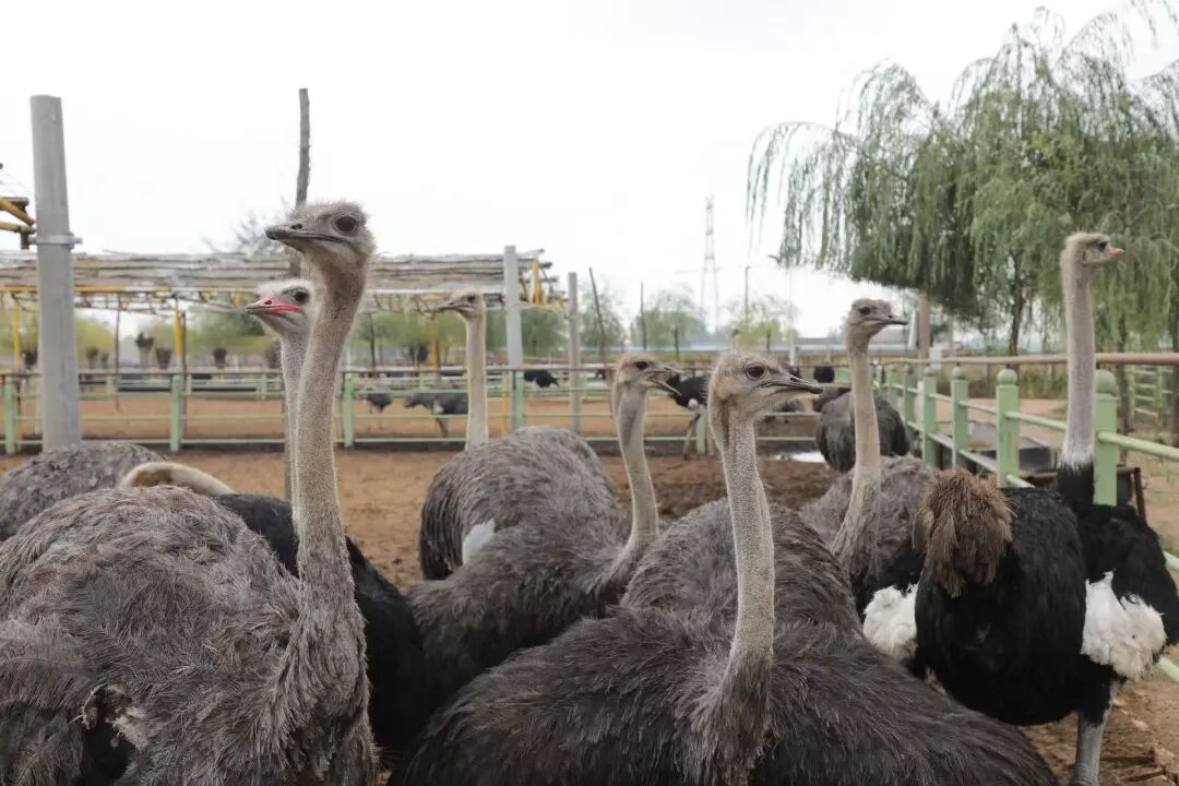 8fd4e497489533baff293447f373120d