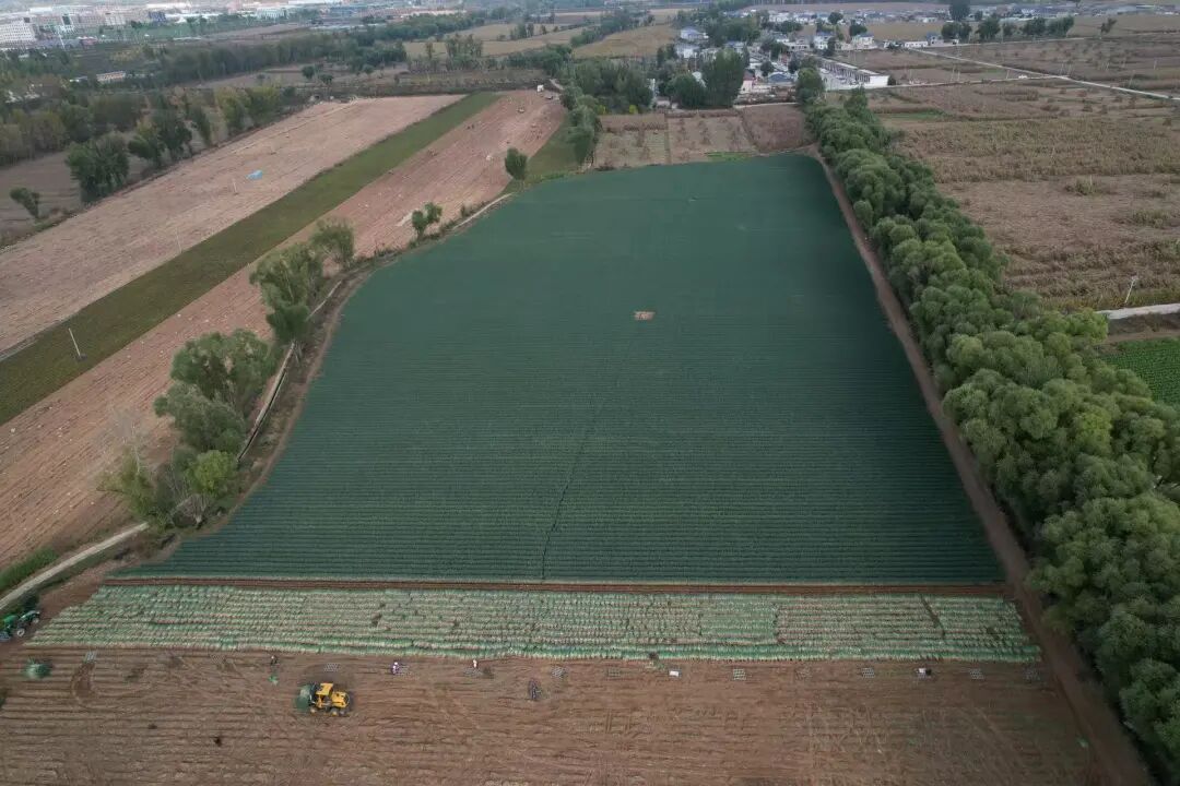 a449219147b0073addec5b69983cecf4