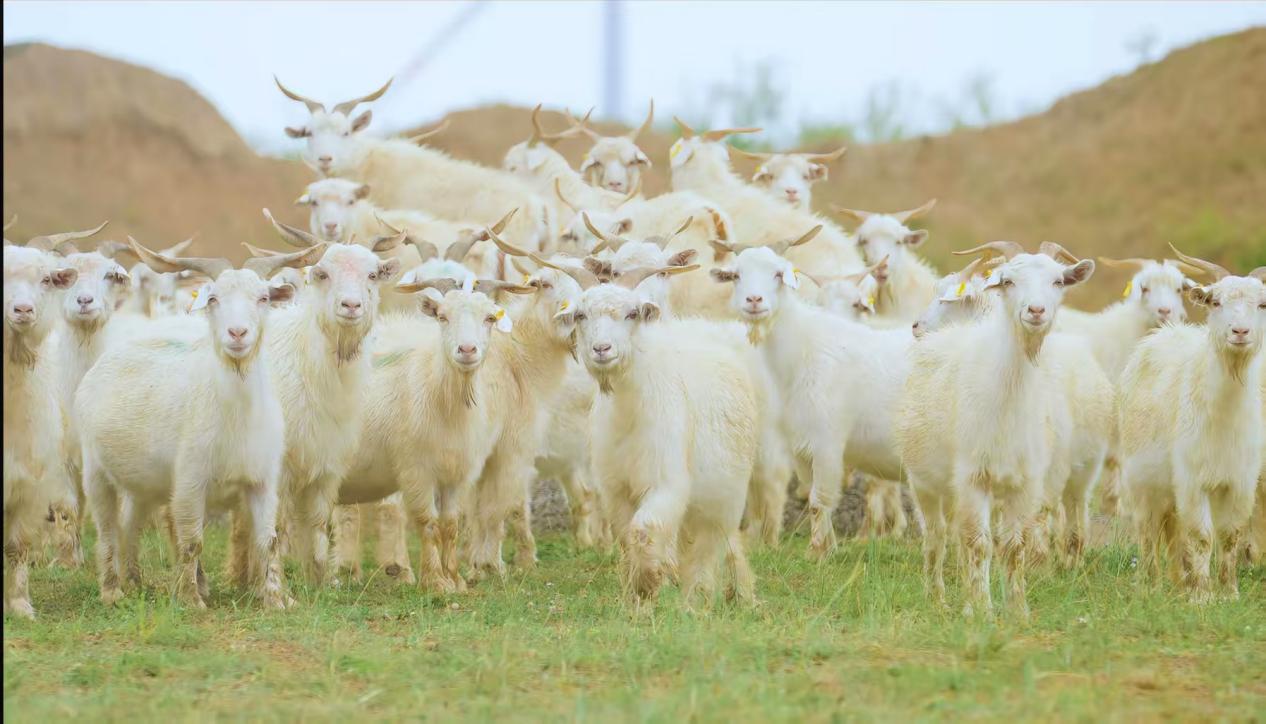 微信图片_20251023140255_69_21