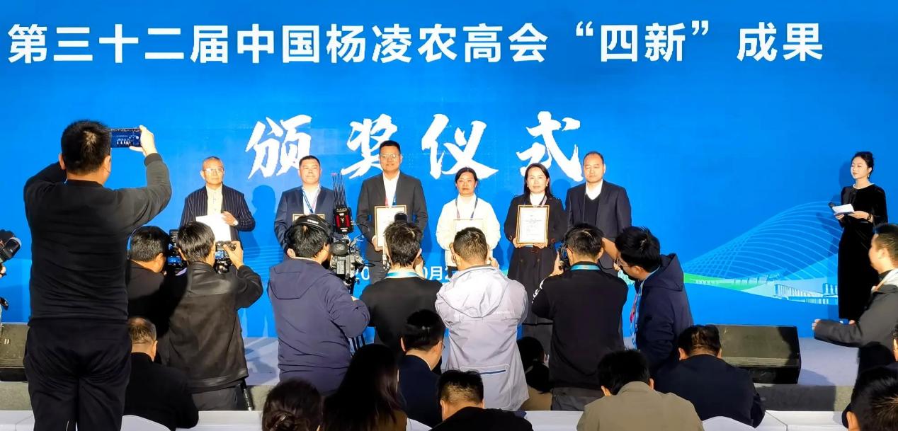 图片2