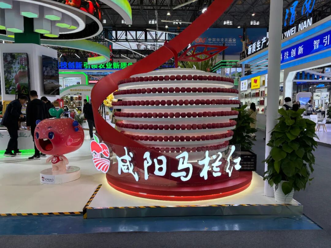 图片1