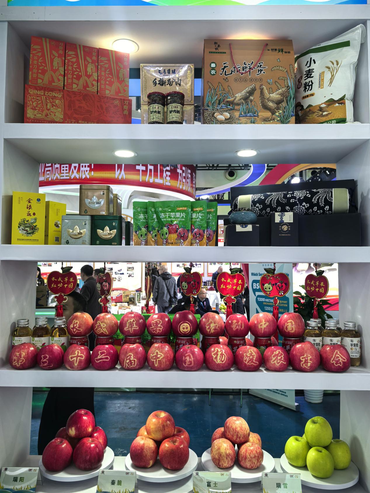 微信图片_20251027091723_154_166