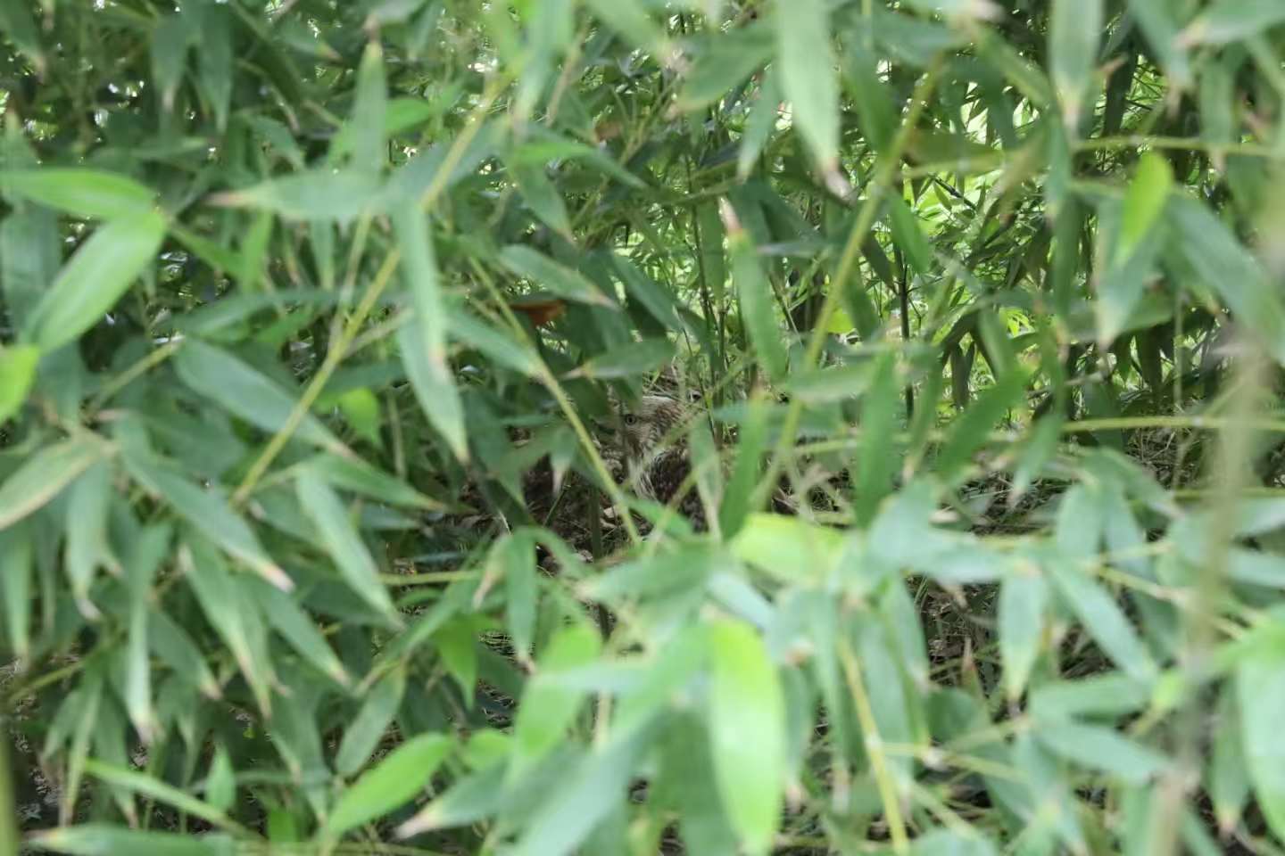 微信图片_2025-10-29_084648_142