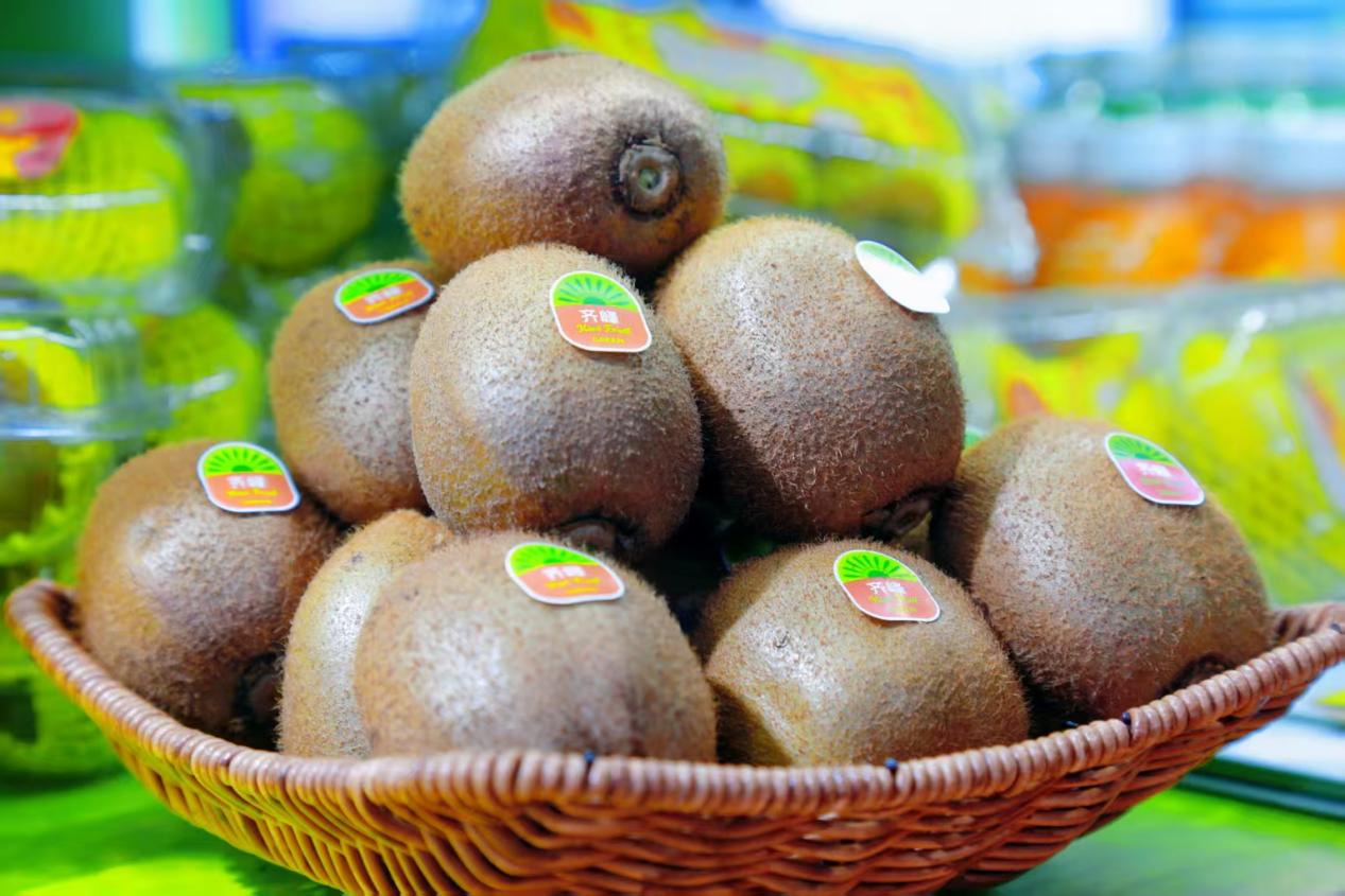 微信图片_20251030085423_153_7