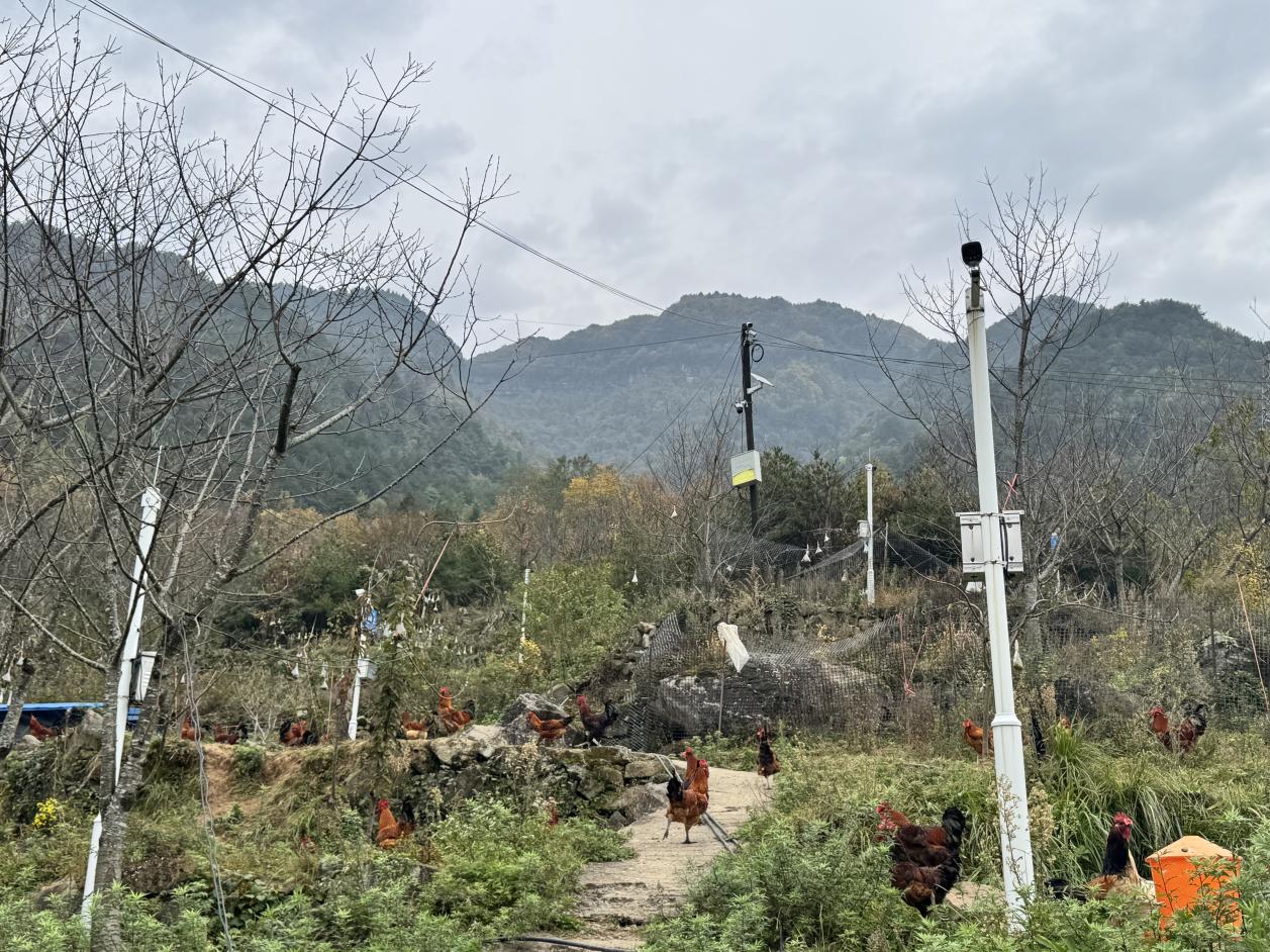 16e40265edf03f6eaf136b2ae96585cf