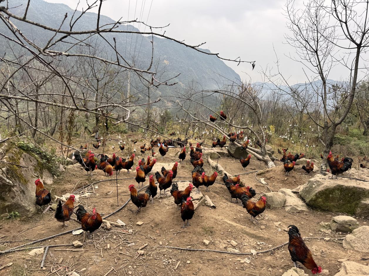 996c39cbc377cc8f51ac0c46a7cc71db