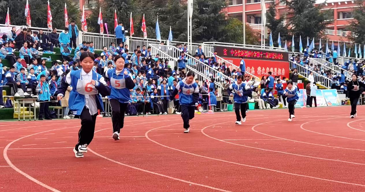 微信图片_20251031214424_39_156