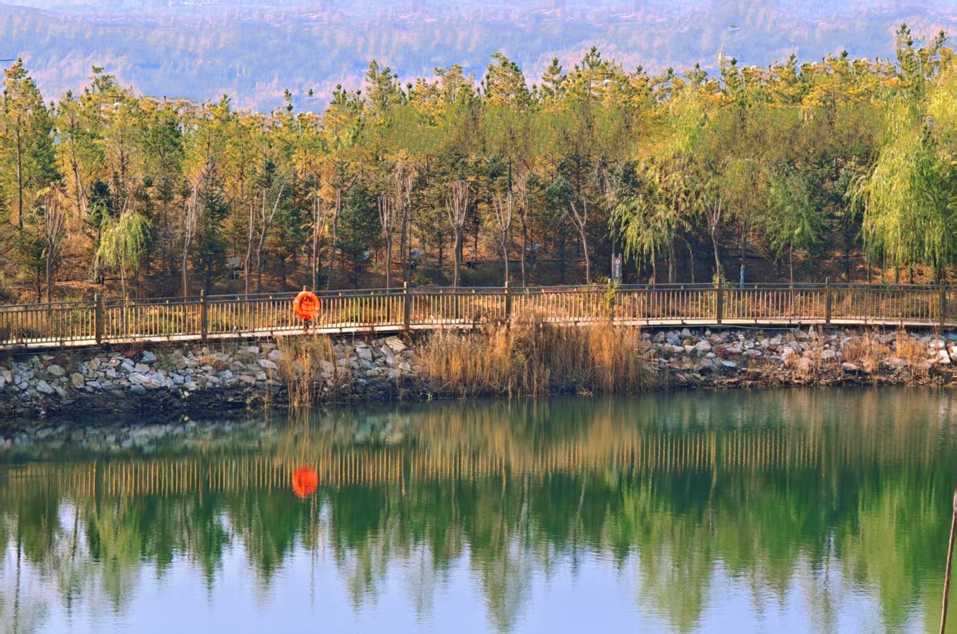 20251104142826267-80-493d5.jpg 20251104142826267-80-493d5.jpg