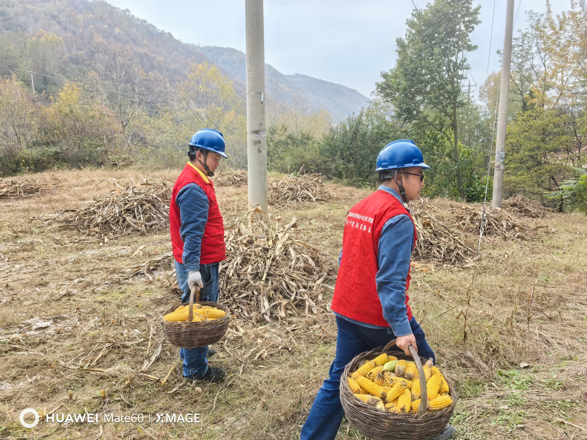 20251105111141682-22-3f6cb.jpg_scale.jpg 20251105111141682-22-3f6cb.jpg_scale.jpg