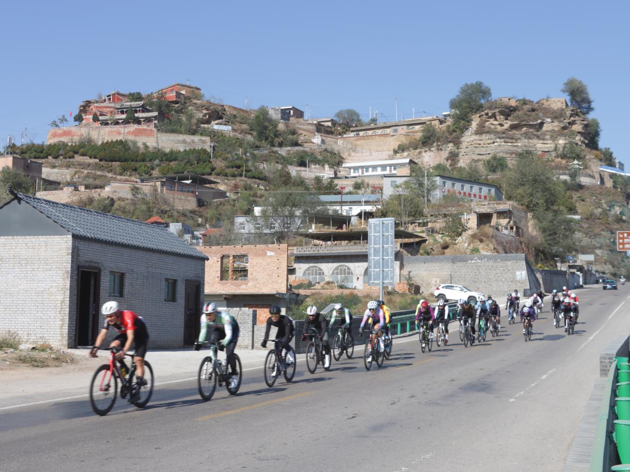 1e6e98cfdd001fc6ba6ce220d95a7ed