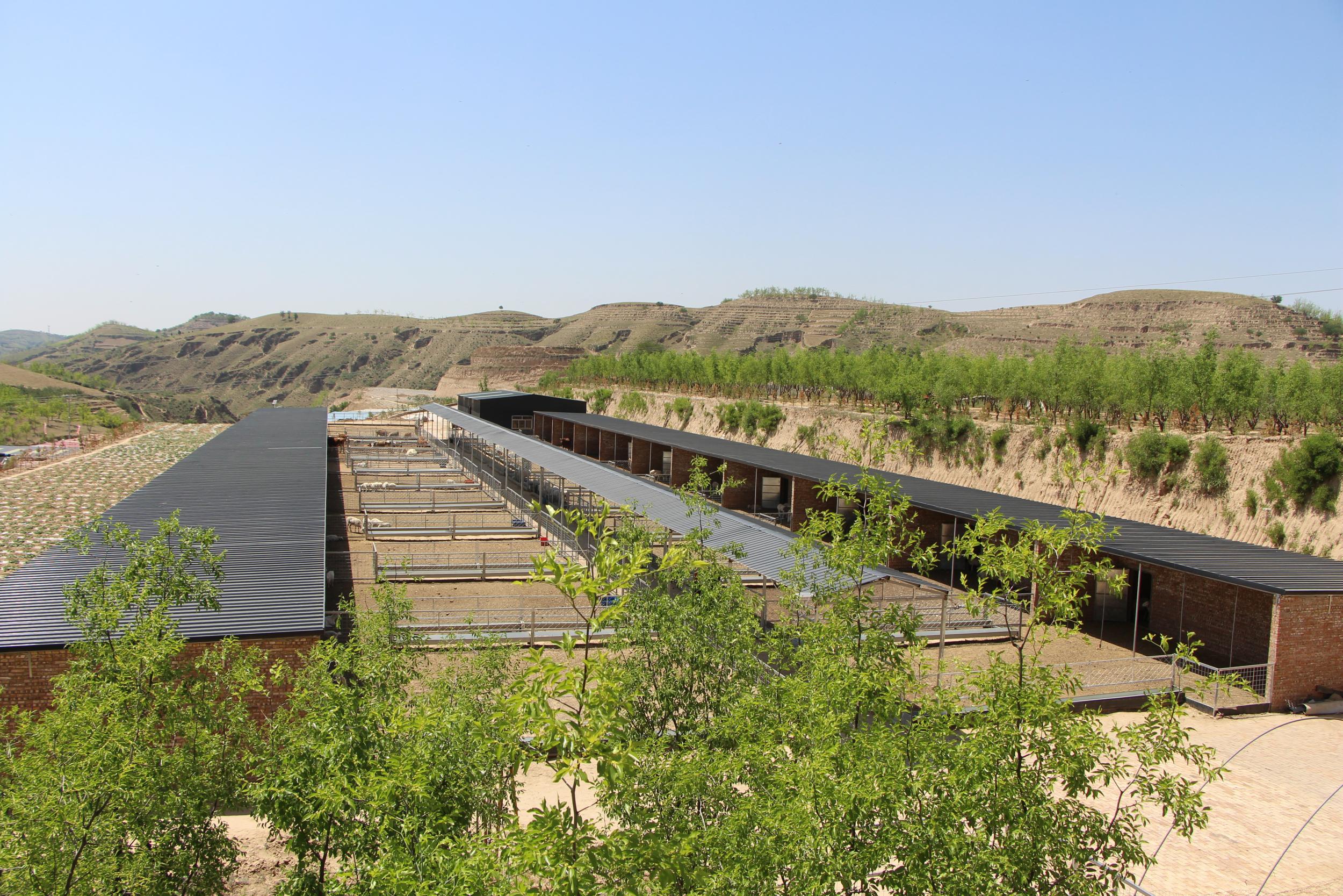 20251106144046994-27-4681b.jpg_scale.jpg 20251106144046994-27-4681b.jpg_scale.jpg