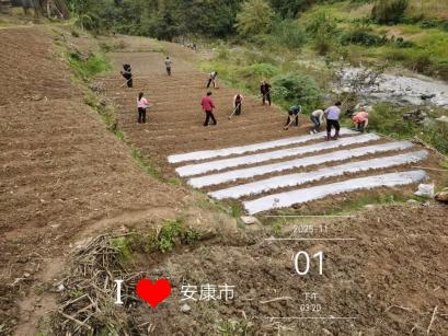 20251106170541573-69-c2e0c.jpeg 20251106170541573-69-c2e0c.jpeg