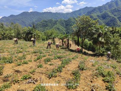 20251106170541595-58-fab51.jpeg 20251106170541595-58-fab51.jpeg