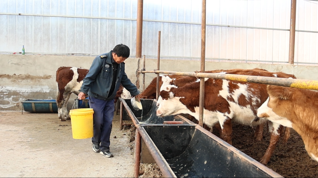 20251107150143101-94-55c5a.jpg 20251107150143101-94-55c5a.jpg