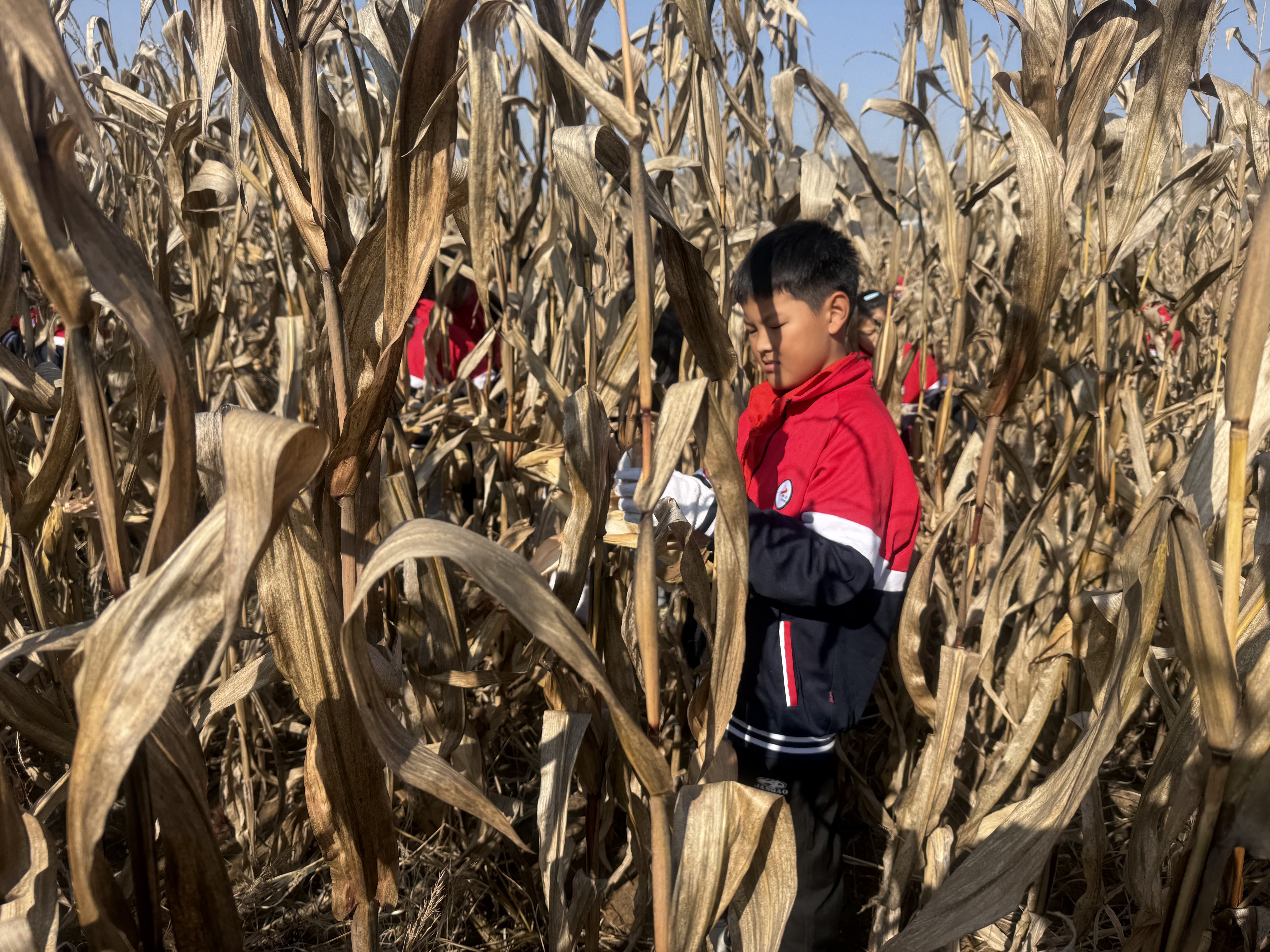 20251107150228017-84-64e27.jpg 20251107150228017-84-64e27.jpg