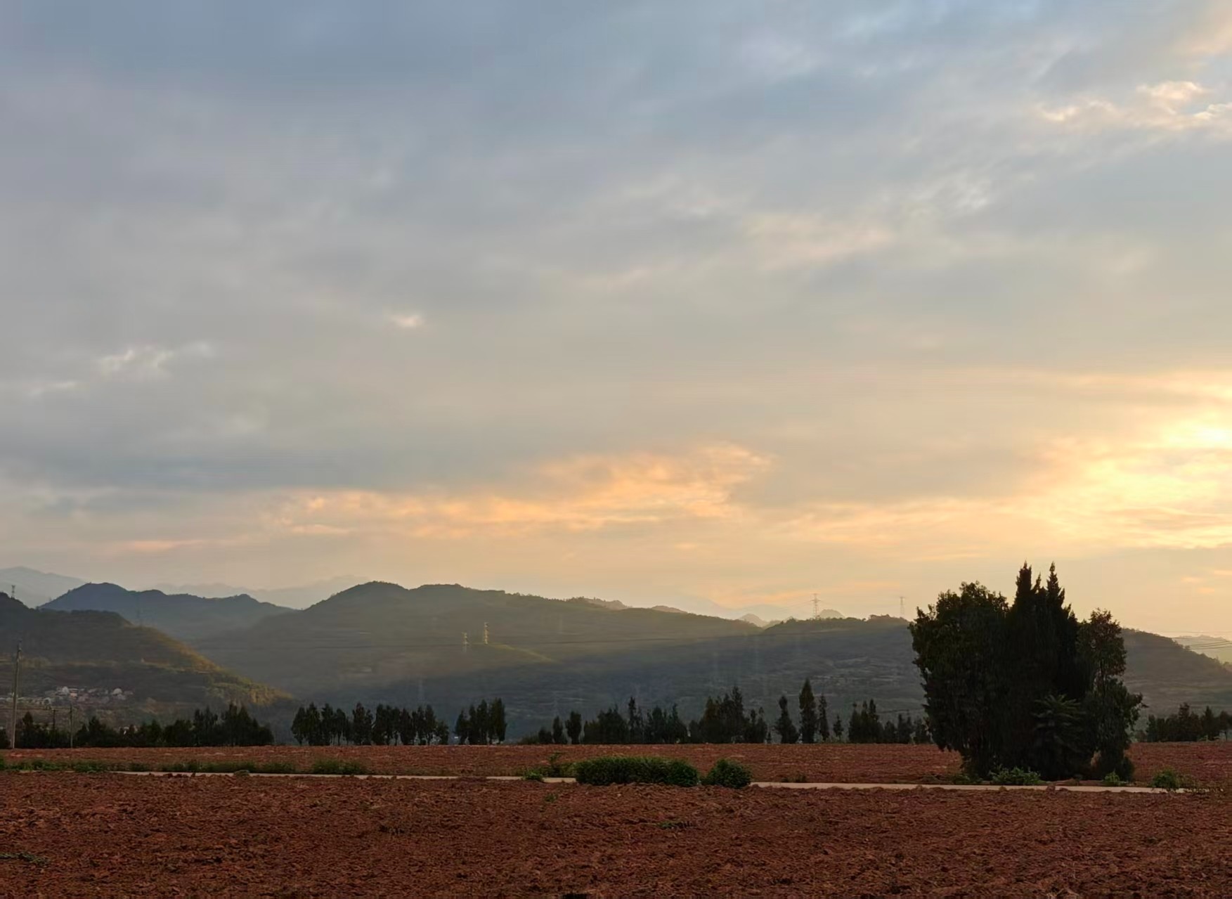 1762509906689060013.jpg 1762509906689060013.jpg