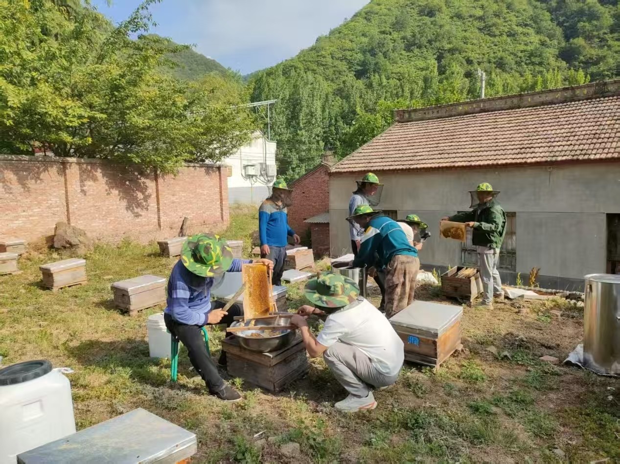 1762510157413075143.jpg 1762510157413075143.jpg