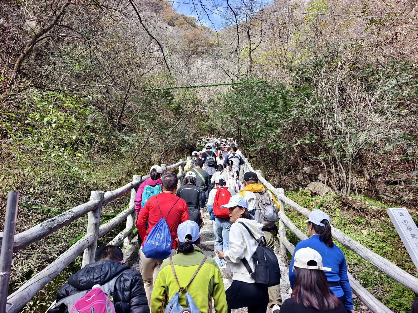 微信图片_20251109115238_60_579