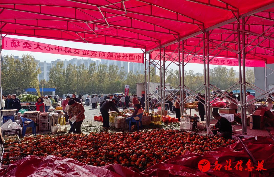 微信图片_20251110114231_227_15