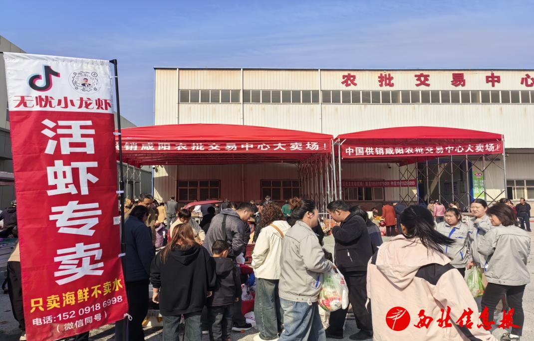 微信图片_20251110114152_226_15