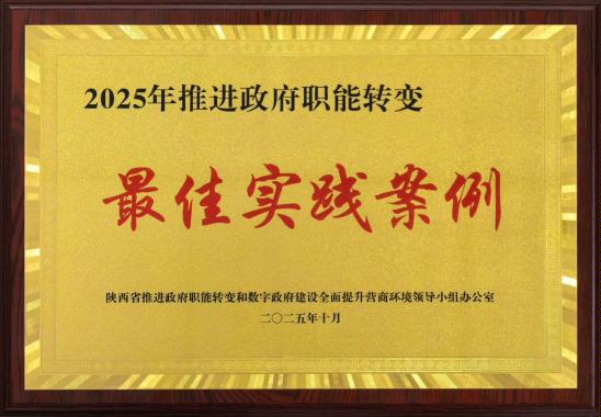 陕西省“最佳实践案例”奖牌