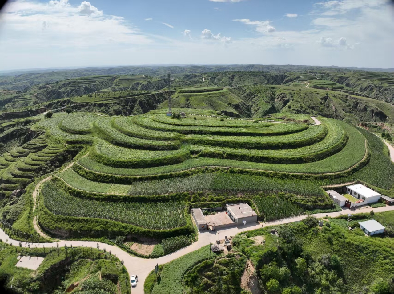 20251111153137525-59-258d3.jpg 20251111153137525-59-258d3.jpg