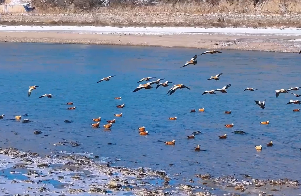 20251113140623022-47-af056.png 20251113140623022-47-af056.png