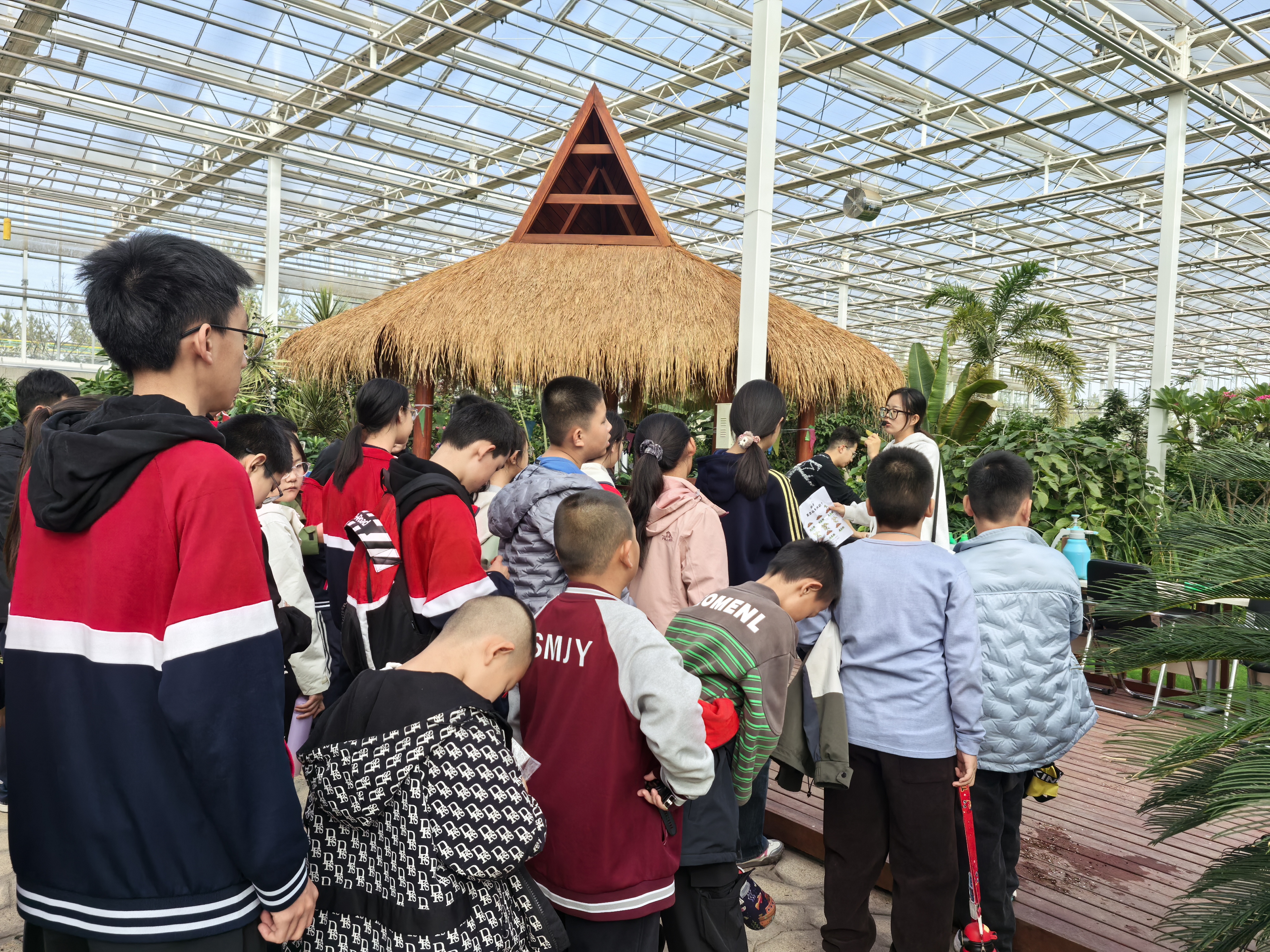 20251113140812781-5-3e35d.jpg 20251113140812781-5-3e35d.jpg