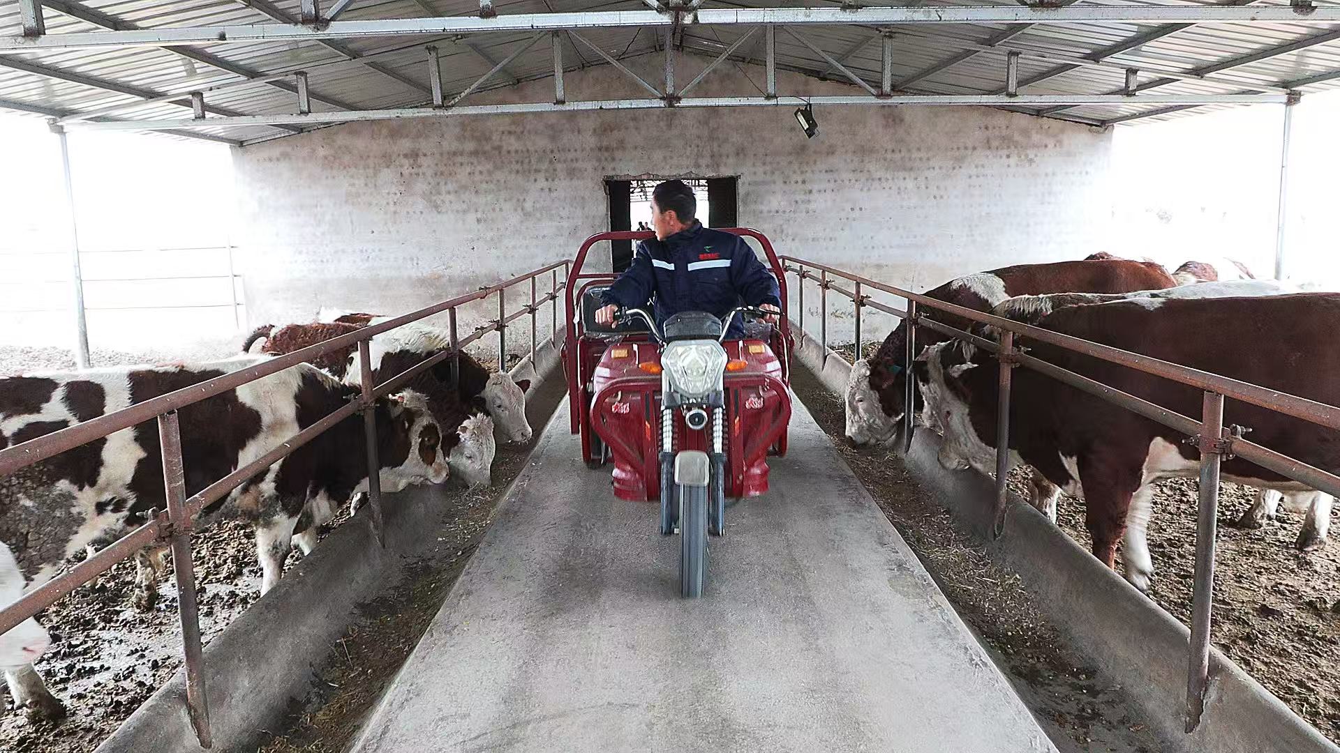 20251114104009695-63-bc544.jpg 20251114104009695-63-bc544.jpg