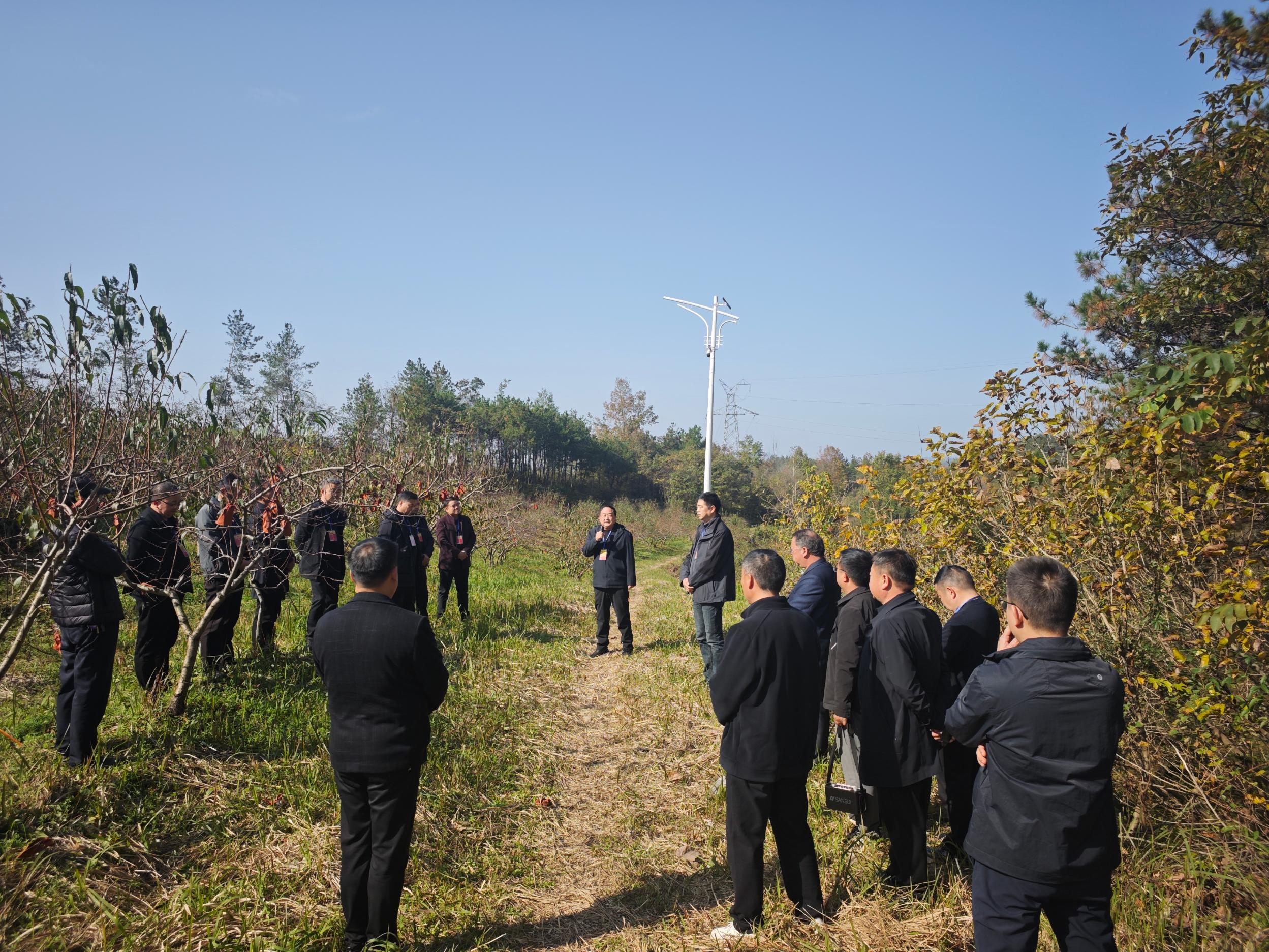 视察江河村产业园