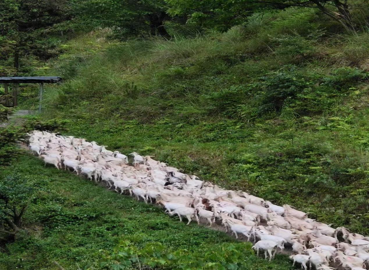 微信图片_20251114103512_34_68