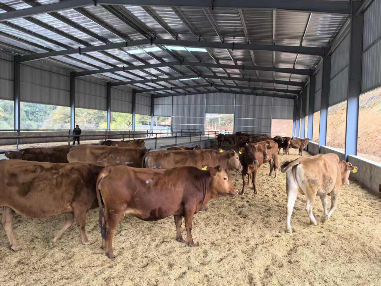 615a799cc83f3fc4258e4e058f5c4554