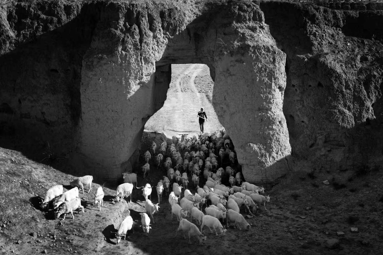 153ef995045198b81ad5b9bd1bb76cff