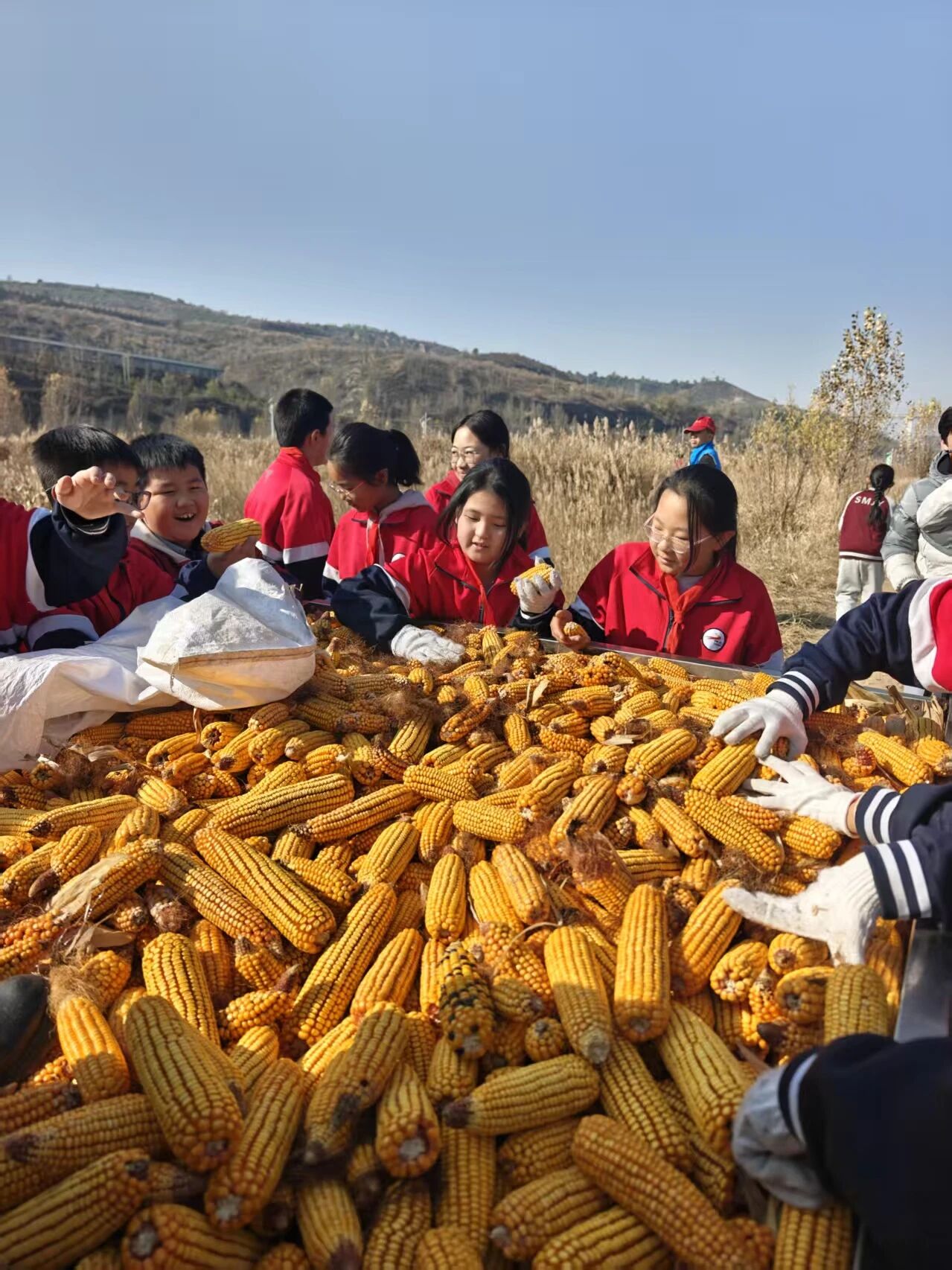 20251128141721367-86-e55e1.jpg 20251128141721367-86-e55e1.jpg