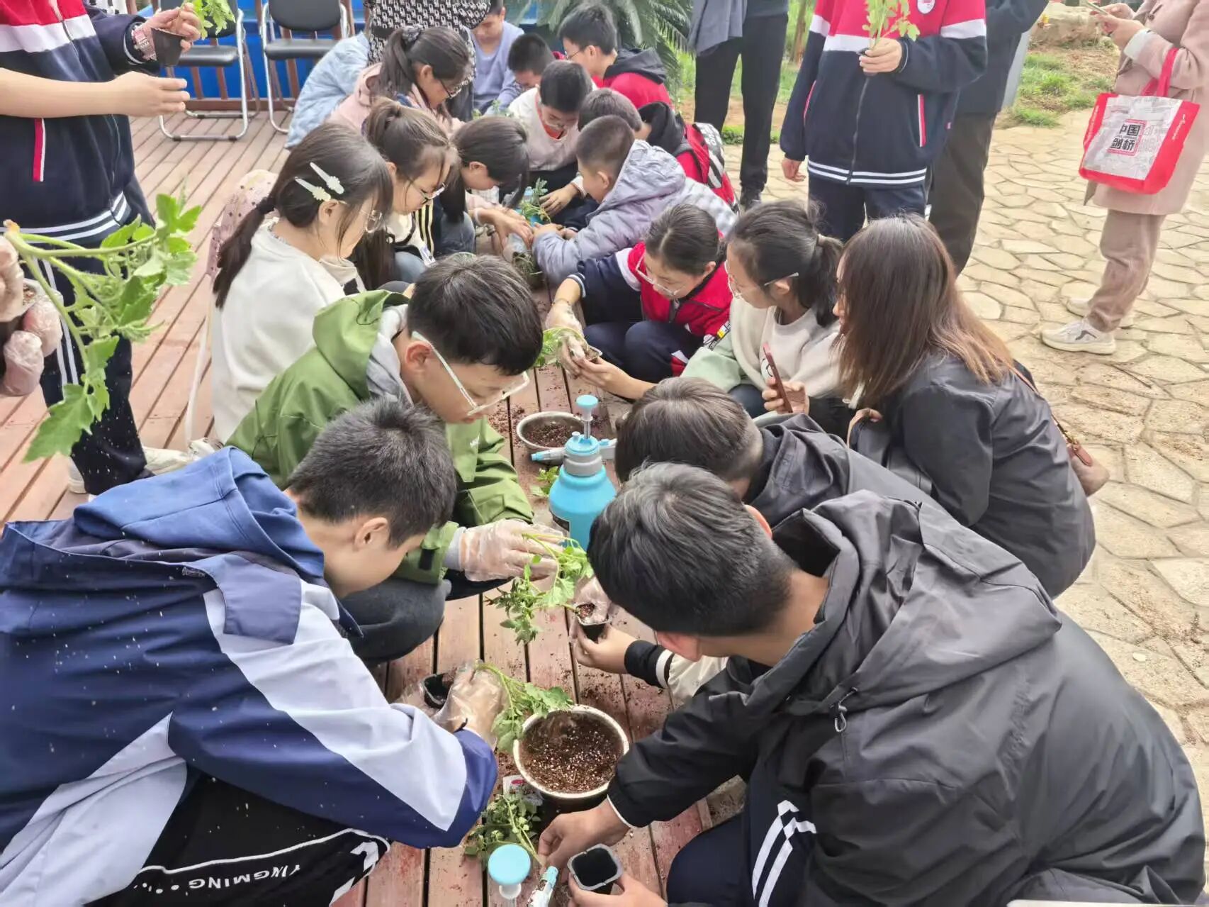 20251128141721390-83-82646.jpg 20251128141721390-83-82646.jpg