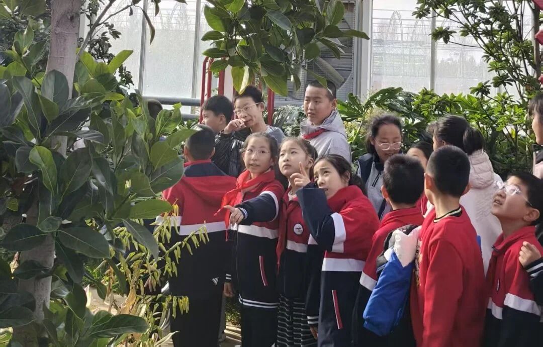 20251128141737900-61-61e55.jpg 20251128141737900-61-61e55.jpg