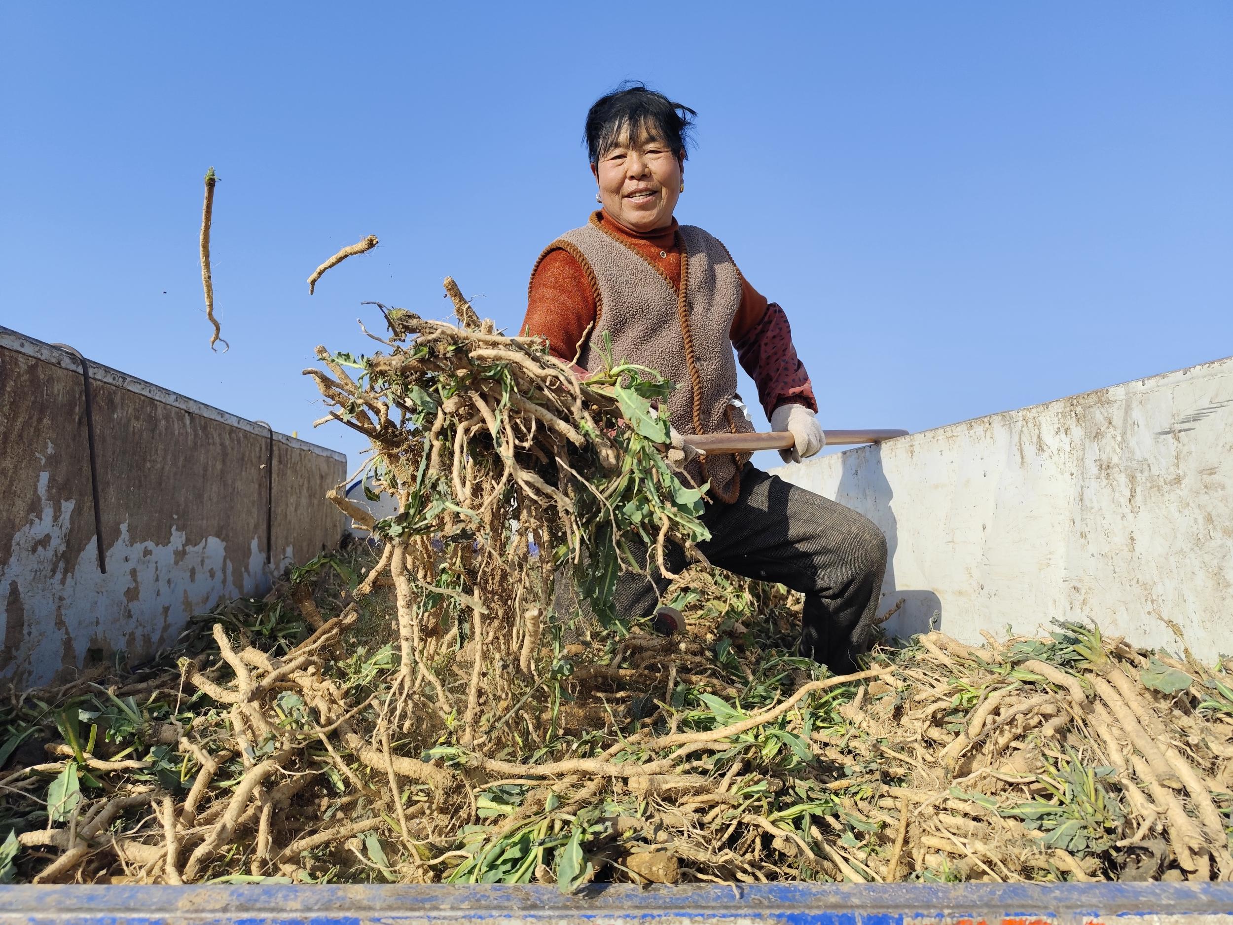 20251202181544223-89-495cb.jpg_scale.jpg 20251202181544223-89-495cb.jpg_scale.jpg