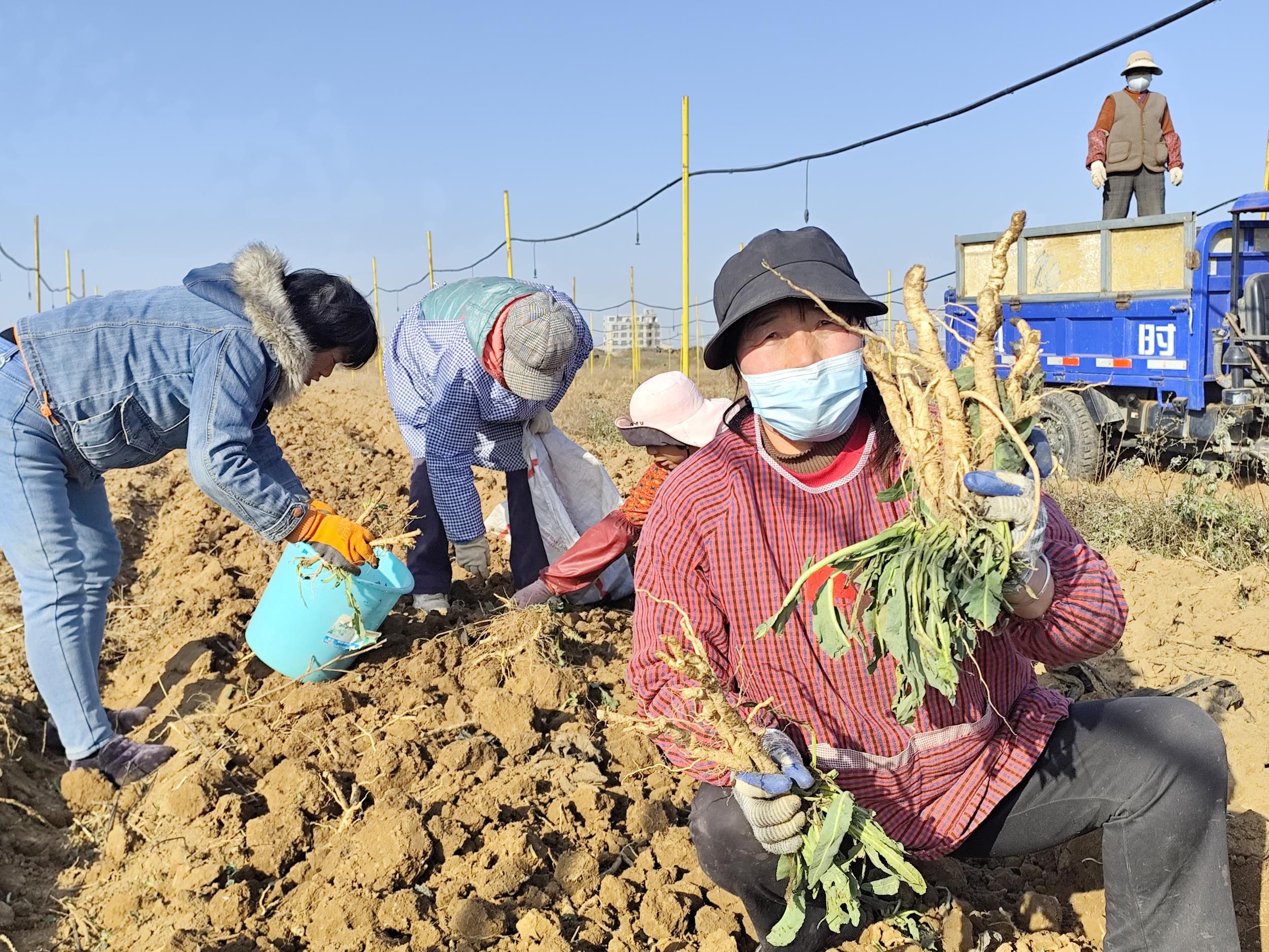 20251202181621124-87-7f166.jpg_scale.jpg 20251202181621124-87-7f166.jpg_scale.jpg