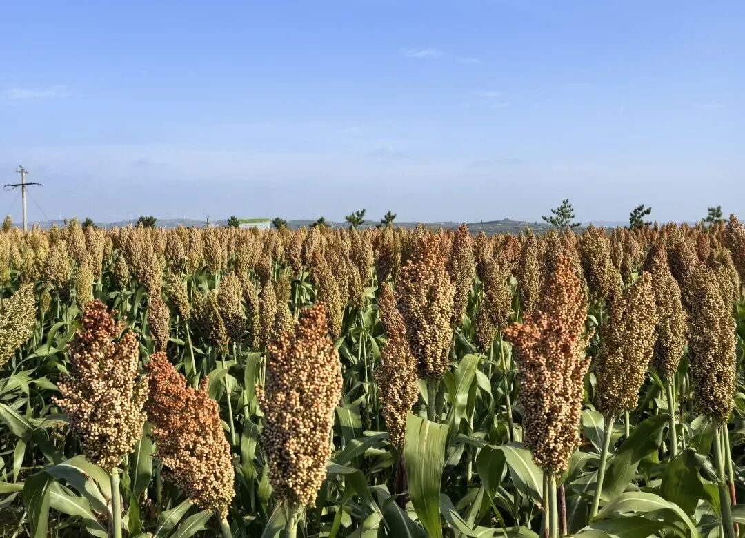 20251205150639360-17-8b285.jpg 20251205150639360-17-8b285.jpg