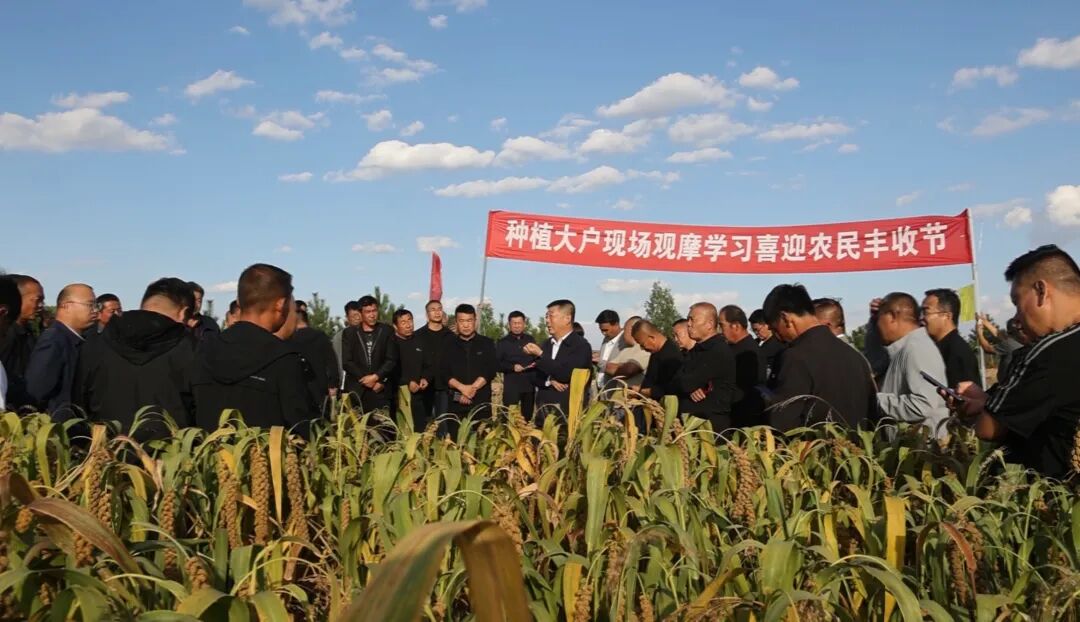 20251205150639420-65-ab1d4.jpg 20251205150639420-65-ab1d4.jpg