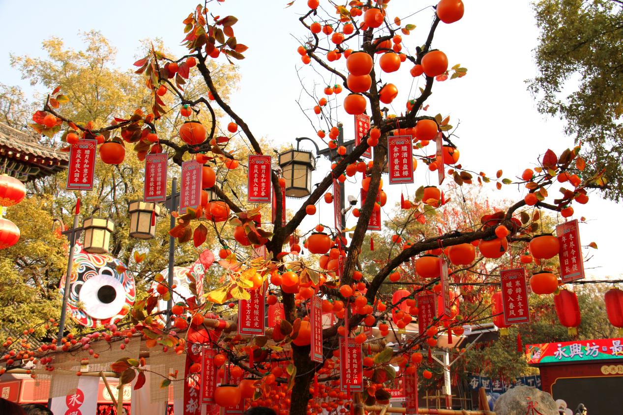 微信图片_20251205221434_1952_37