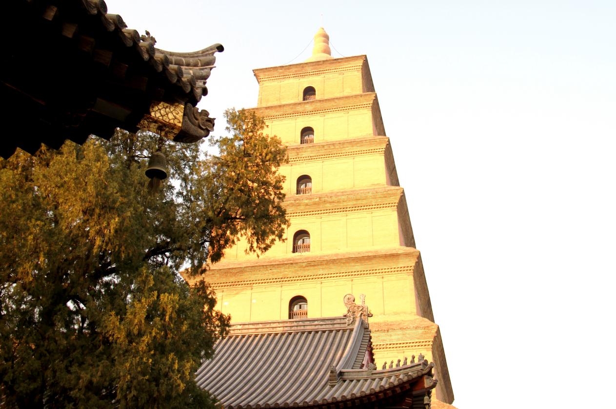 微信图片_20251205221225_1944_37