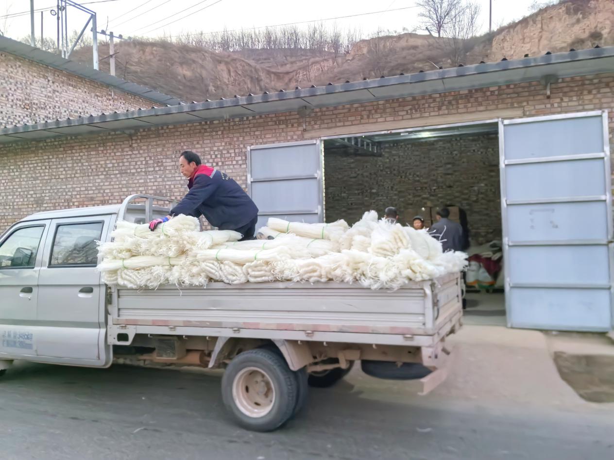 IMG_20251204_172700_edit_27657173059319